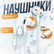 Наушники с микрофоном Hoco M101Pro Crystal Type-C черные