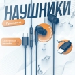 Наушники с микрофоном Hoco M101Pro Crystal Type-C черные