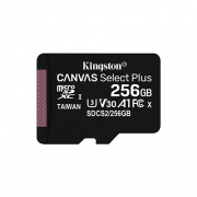 Карта памяти Kingston SDCS2/256GBSP