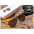 Очки Turok Steinhardt Sport Sunglasses TYJ02TS черные