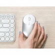 Мышь компьютерная Xiaomi Mi Portable Mouse, беспроводная, эргономичная, Silver (BXSBMW02)