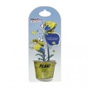 Наушники SmartBuy Plant Yellow/Blue